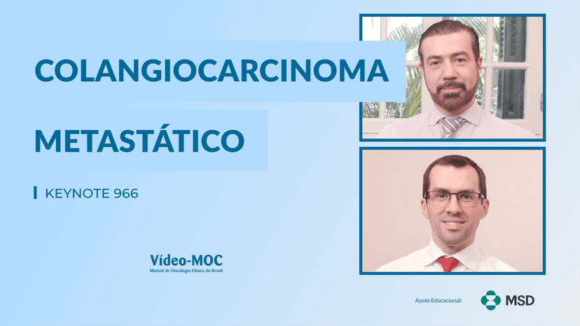 VOLUME 16 ● NÚMERO 13